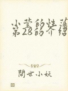 小莹的性荡生活第28的介绍封面