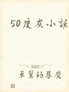 50度灰小说