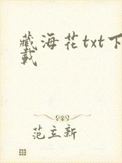 藏海花txt下载封面