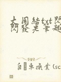 大团结txt闪闪发光笔趣阁