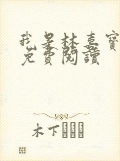 我是林喜宝小说免费阅读