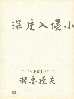 深度入侵小说