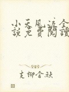 小天风流全集小说免费阅读封面