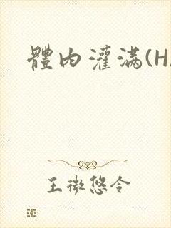 体内灌满(H)封面