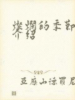 灿烂的季节剧情介绍