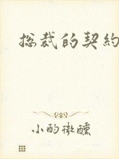 总裁的契约情人