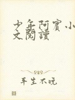 少年阿宾小说全文阅读封面