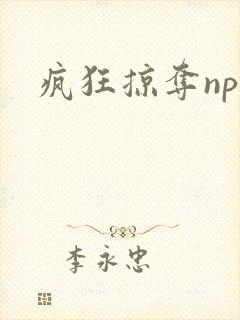 疯狂掠夺npc