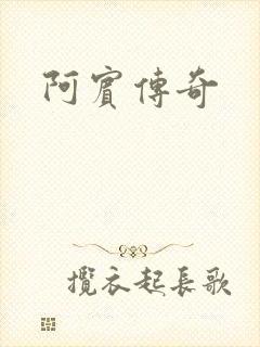 阿宾传奇封面