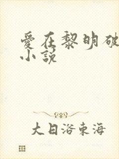 爱在黎明破晓前小说封面