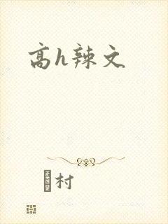 高h辣文