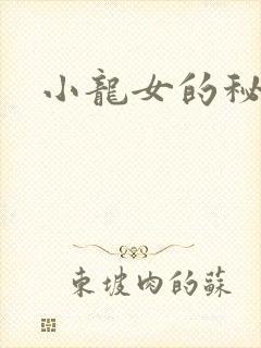 小龙女的秘密封面