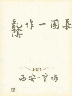 乱作一团长日光阴