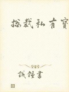 总裁私有宝贝
