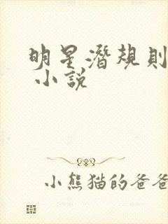 明星潜规则之皇 小说