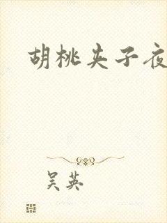 胡桃夹子夜未眠封面