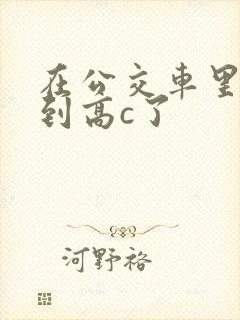在公交车里c弄到高c了