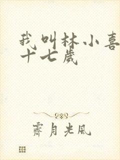 我叫林小喜今年十七岁封面