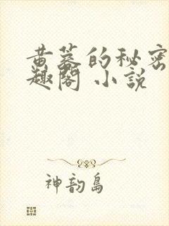 黄蓉的秘密 笔趣阁 小说