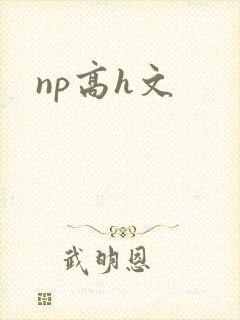 np高h文