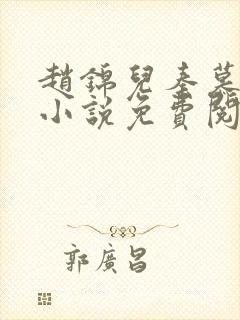 赵锦儿秦慕修的小说免费阅读全文封面