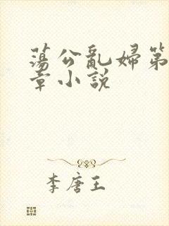 荡公乱妇第51章小说