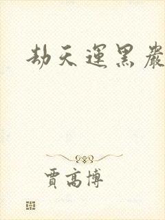 劫天运黑岩封面