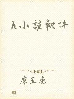 h小说软件