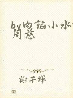 by肉馅小水饺周慈封面