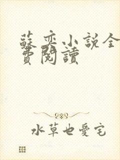 苏奕小说全文免费阅读