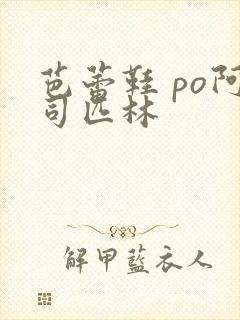 芭蕾鞋 po阿司匹林