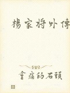 杨家将外传