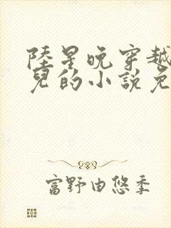 陆星晚穿越成婴儿的小说免费阅读全文