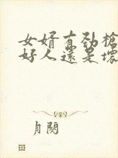 女婿有劲枪枪是好人还是坏人