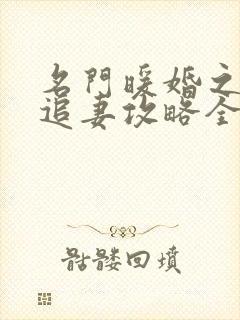 名门暖婚之权爷追妻攻略全文免费阅读封面