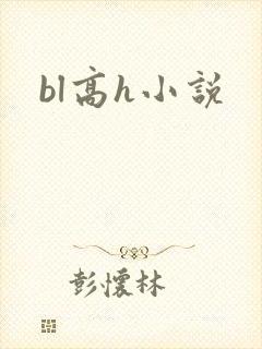bl高h小说封面