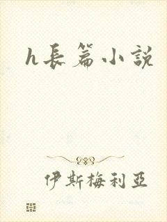 h长篇小说