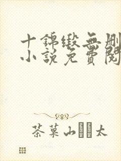 十锦缎无删原著小说免费阅读封面