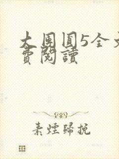 大团圆5全文免费阅读
