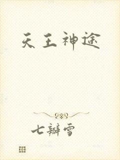 天王神途封面