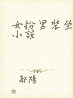 女扮男装坐江山小说封面
