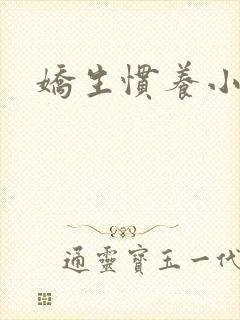 娇生惯养小说