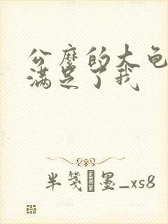 公么的大龟强大满足了我