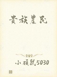 贵族农民封面