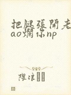 把腿张开老子cao烂你np