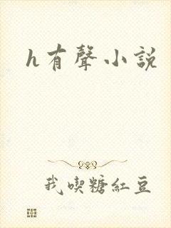 h有声小说