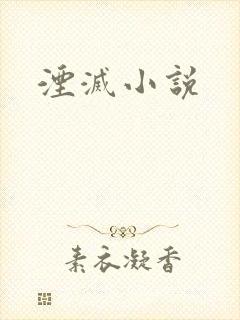 湮灭小说