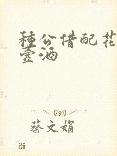 种公借配花间一壶酒封面