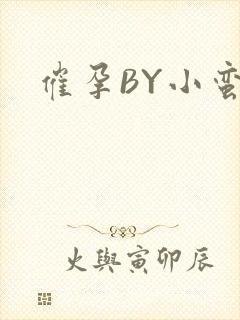 催孕BY小蛮腰