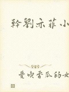 干刘亦菲小说